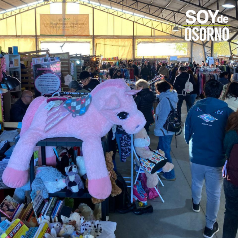 Abren convocatoria para nueva versión de la Venta de Garage en Osorno tras exitoso debut