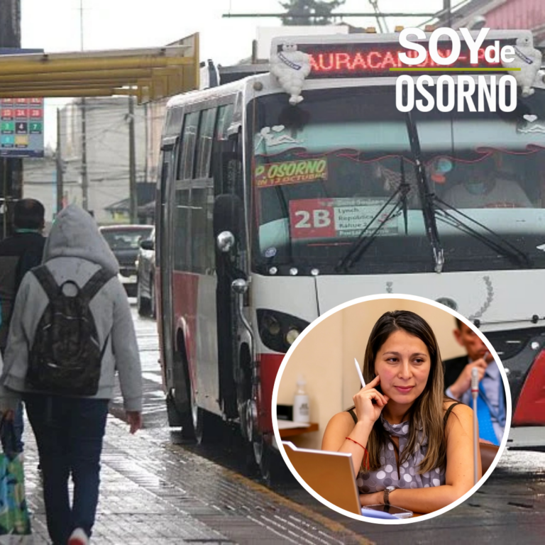 Diputada Paulina Muñoz respalda eventual freno a la electromovilidad en Osorno: “No podemos sacrificar empleos por un proyecto mal diseñado”