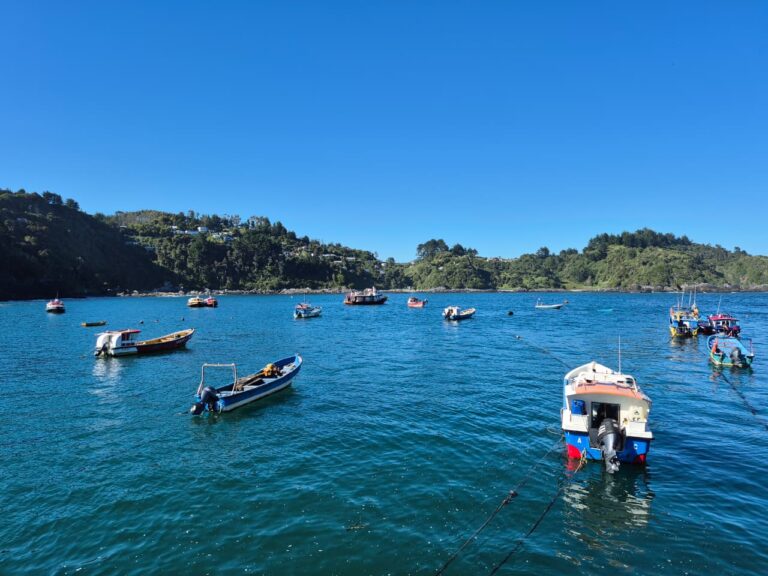 Sernapesca llama a pescadores y pescadoras a revisar su situación en el registro pesquero artesanal para evitar caducidad