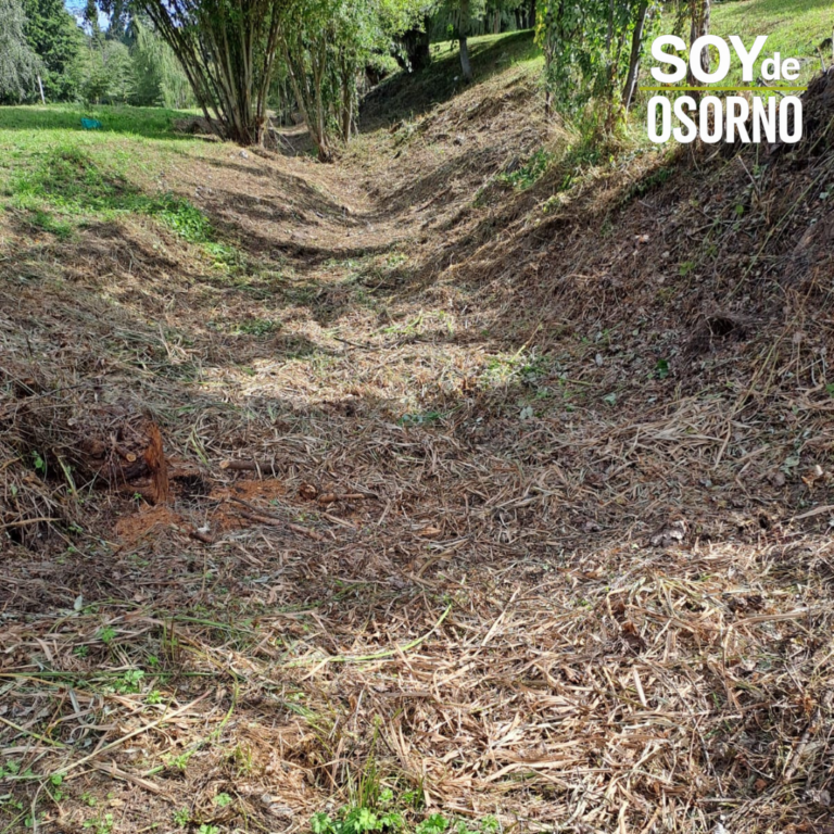Red Ambiental Ciudadana entrega estudio para recuperar humedal Yerbas Buenas en Parque Chuyaca