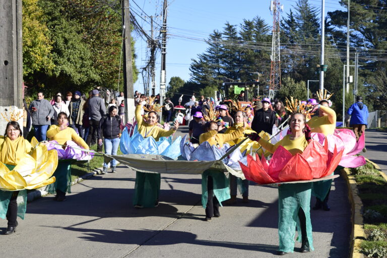 CON UNA GRAN MUESTRA ARTESANAL CONTINÚA LA PUIHUA CULTURAL PUYEHUE 2026: ACTIVIDADES SE EXTIENDEN HASTA ESTE SÁBADO 11 DE JULIO