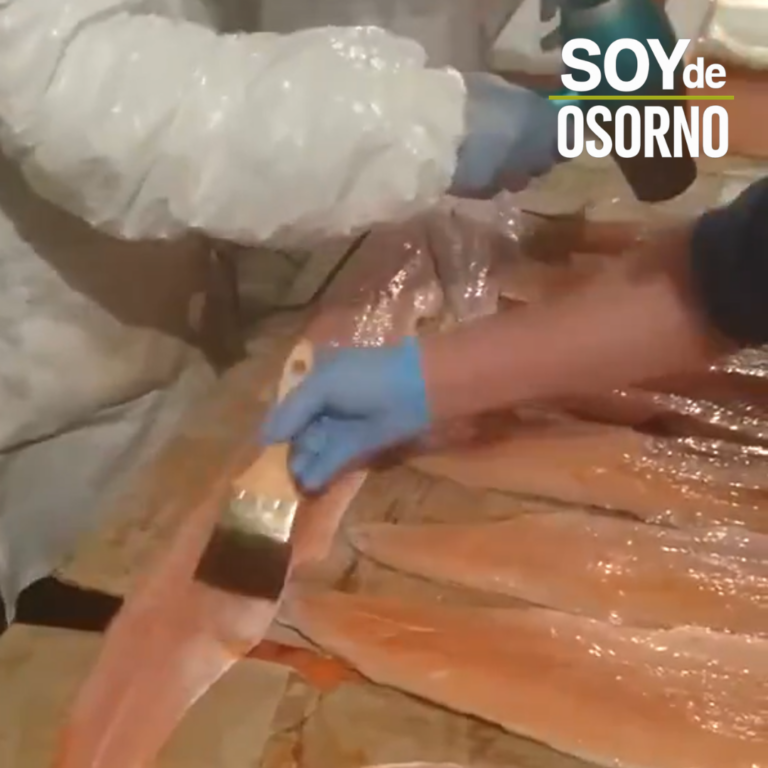 Denuncian presunto “maquillaje” de salmones en plantas clandestinas de Los Lagos