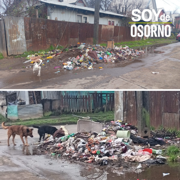Vecinos de Vista Hermosa denuncian acumulación de basura y aguas contaminadas en Rahue Alto