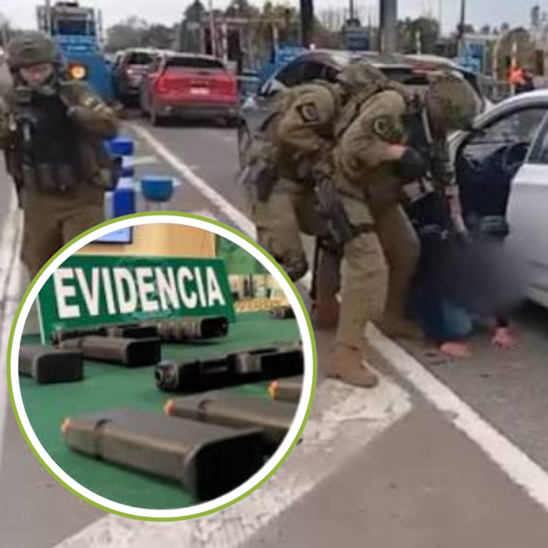Dos hombres quedan en prisión preventiva por ingresar armas desde Argentina a través de paso clandestino en La Araucanía
