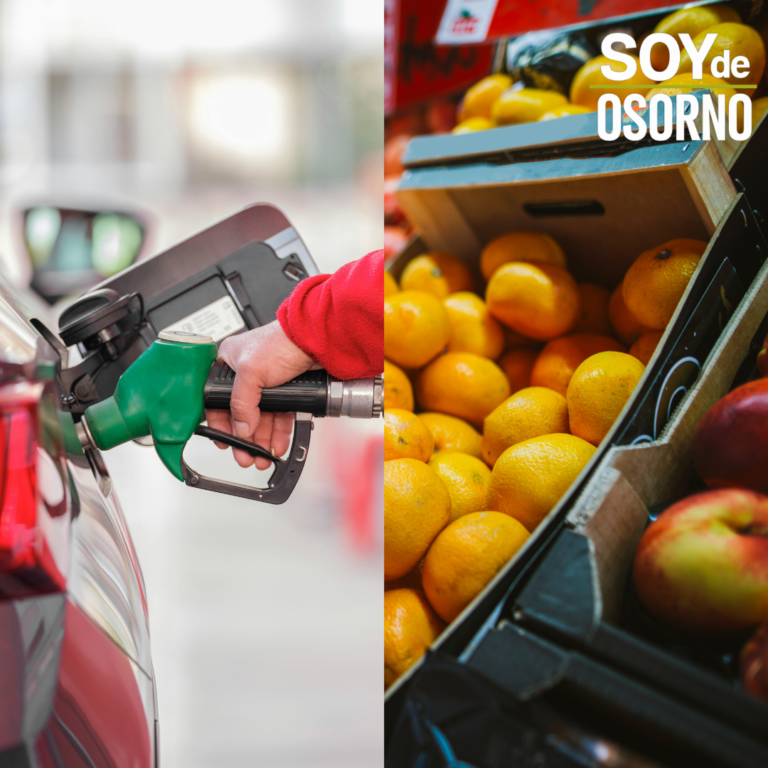 Inflación vuelve a subir: IPC aumentó 0,6% en agosto impulsado por alimentos y transporte