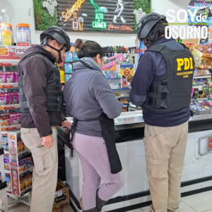 PDI fiscalizó a 91 extranjeros en Los Lagos y detectó a 9 en situación migratoria irregular