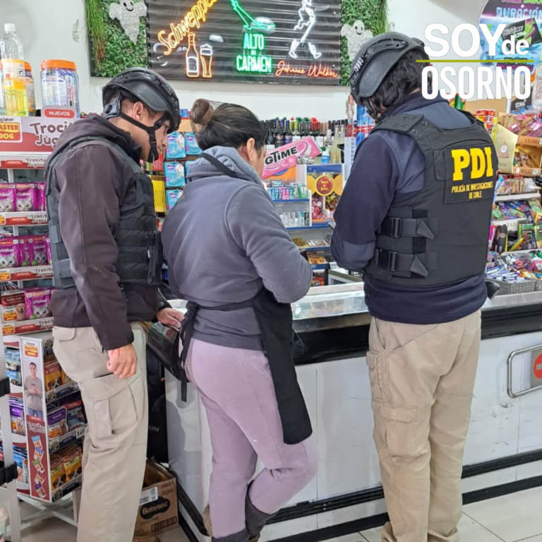 PDI fiscalizó a 91 extranjeros en Los Lagos y detectó a 9 en situación migratoria irregular