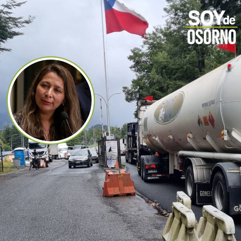 Diputada Muñoz exige avanzar con urgencia en la reconstrucción del Paso Cardenal Samoré: «Es una obra que se le debe a la región”