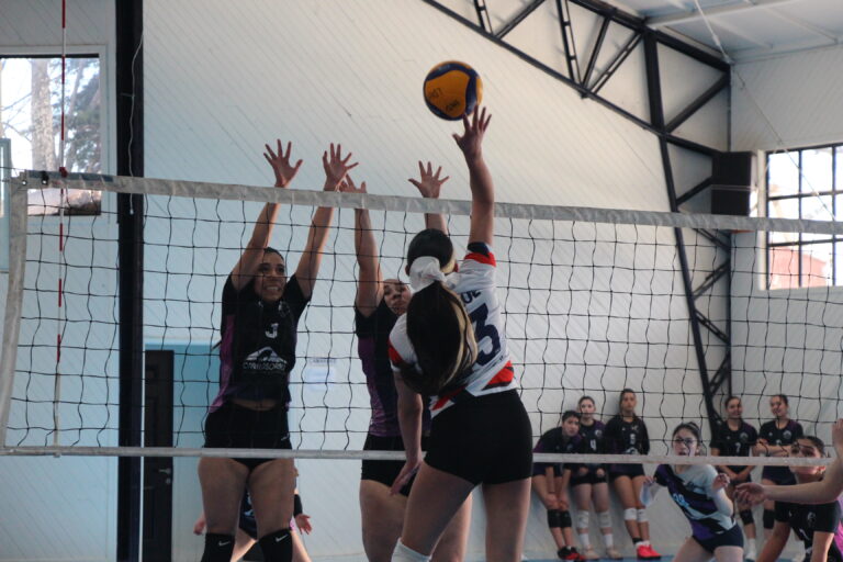Osorno y Chiloé representarán a la región en el vóleibol de los próximos Juegos Binacionales de la Araucanía