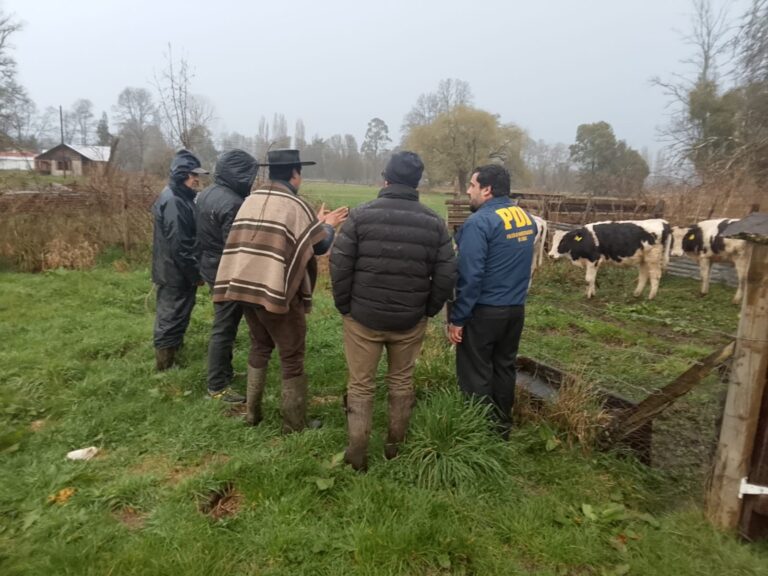 PDI detiene a tres personas por delito de abigeato en Río Bueno