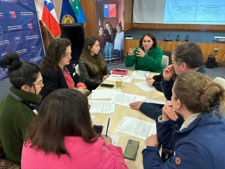 Más de 50 mujeres de la provincia de Llanquihue construyen las bases de la Agenda Regional de Género 2026-2030